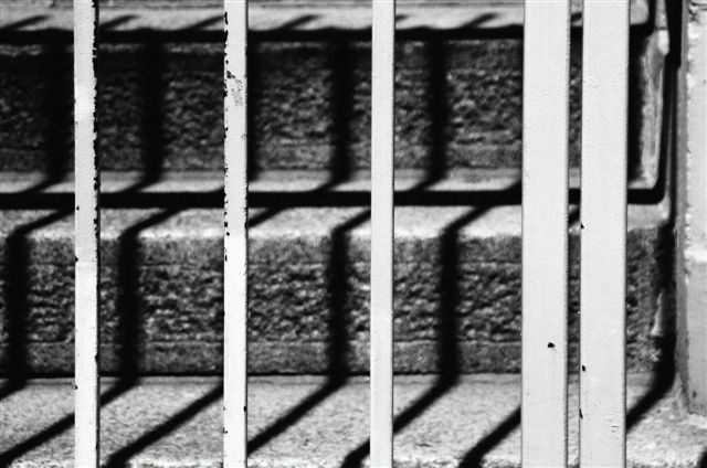 _DSC0905%20(1)