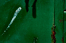 _DSC0819%20(1)