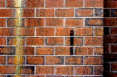 _DSC0832%20(1)