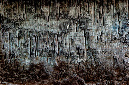 _DSC0842%20(1)