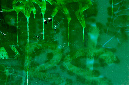 _DSC0845%20(1)