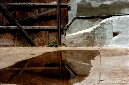 _DSC0853%20(1)