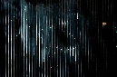 _DSC0884%20(1)