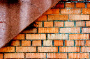 _DSC0895%20(1)