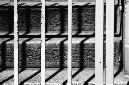 _DSC0905%20(1)