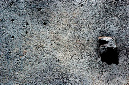 _DSC0907%20(1)