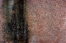 _DSC0933%20(1)