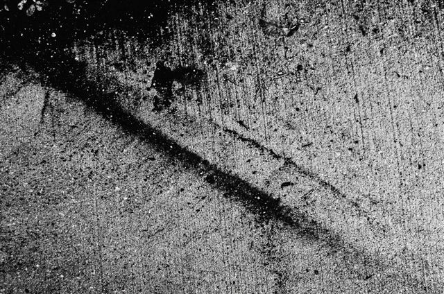 _DSC1059%20(1)