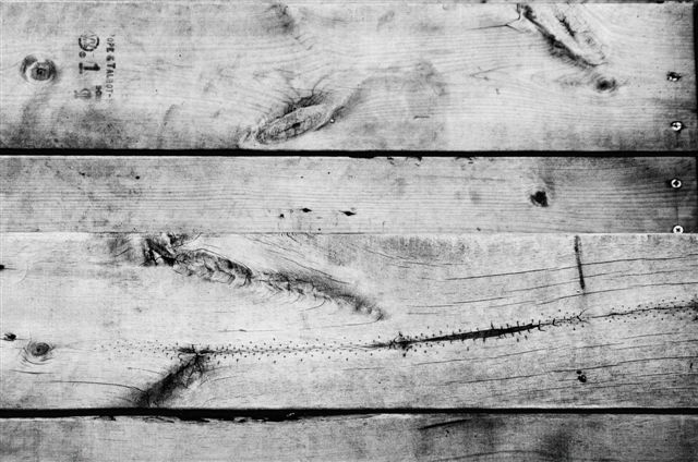 _DSC1086%20(1)