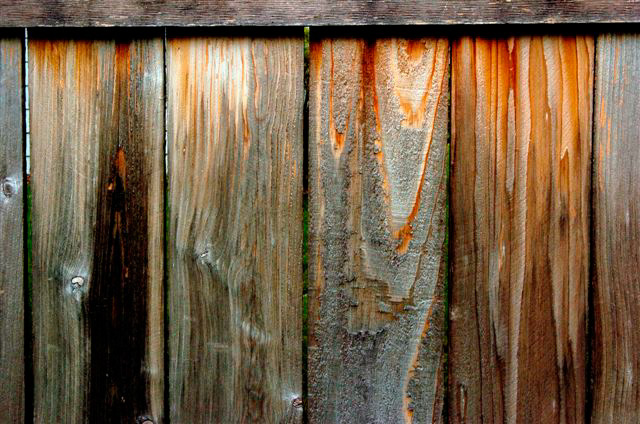 _DSC1102%20(1)