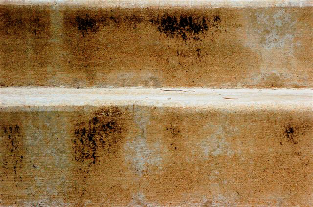 _DSC1127%20(1)