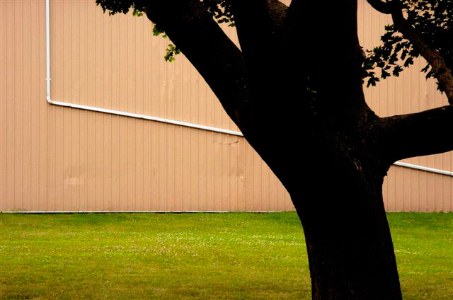 _DSC1142%20(1)