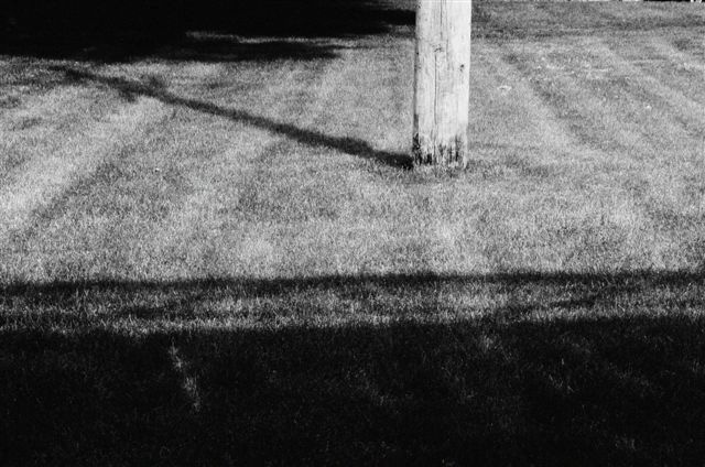 _DSC1169%20(1)