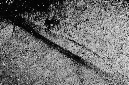 _DSC1059%20(1)