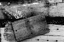 _DSC1088%20(1)