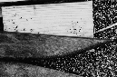 _DSC1092%20(1)