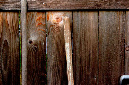 _DSC1096%20(1)