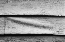 _DSC1117%20(1)