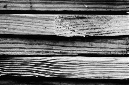 _DSC1120%20(1)