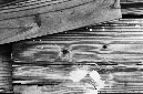 _DSC1137%20(1)