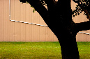 _DSC1142%20(1)