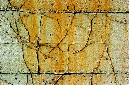 _DSC1152%20(1)