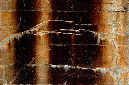 _DSC1157%20(1)