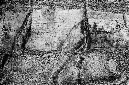 _DSC1167%20(1)
