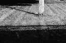 _DSC1169%20(1)