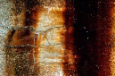_DSC1171%20(1)