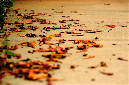 _DSC1176%20(1)
