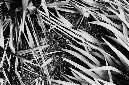 _DSC1187%20(1)