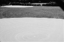 _DSC1216%20(1)