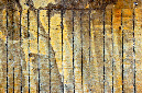 _DSC1222%20(1)