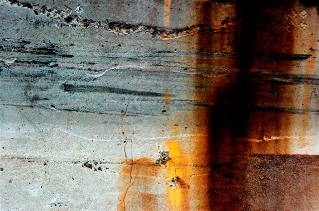 _DSC1483%20(1)