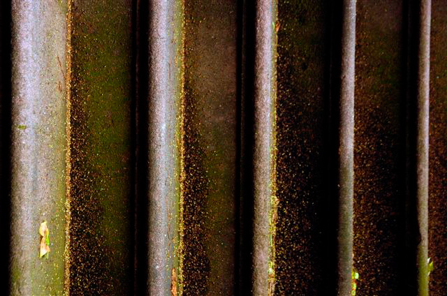 _DSC1522%20(1)