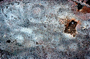 _DSC1447%20(1)