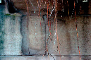 _DSC1453%20(1)