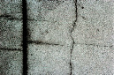 _DSC1464%20(1)