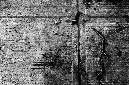 _DSC1488%20(1)