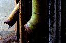 _DSC1490%20(1)