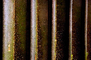 _DSC1522%20(1)