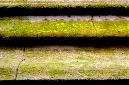 _DSC1535%20(1)
