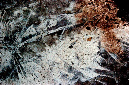 _DSC1557%20(1)