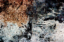 _DSC1562%20(1)