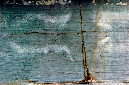 _DSC1578%20(1)