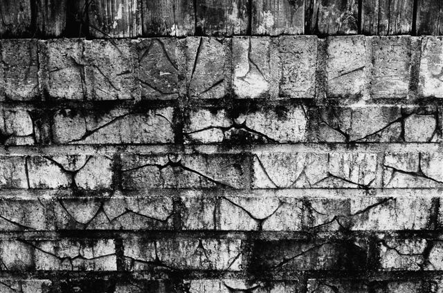 _DSC1601%20(1)