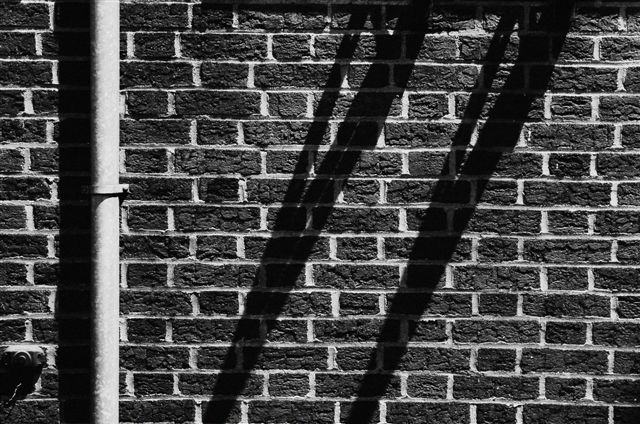 _DSC1657%20(1)