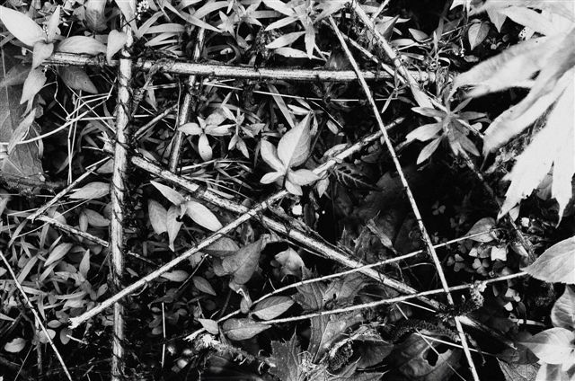 _DSC1770%20(1)