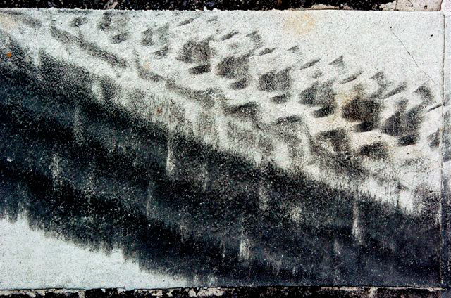_DSC1808%20(1)
